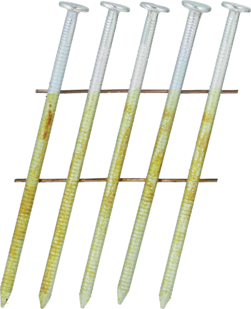 BLxxAXBF-CN-ANGLE_01.psd